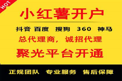 专业SEM服务托管方案案例分析